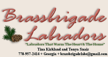 Brassbrigade Labrador Retrievers - McDonough, Georgia